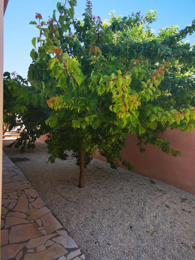 Gites Avec Grande Piscine Et Sa Terrasse Privative Bernis Ngoại thất bức ảnh